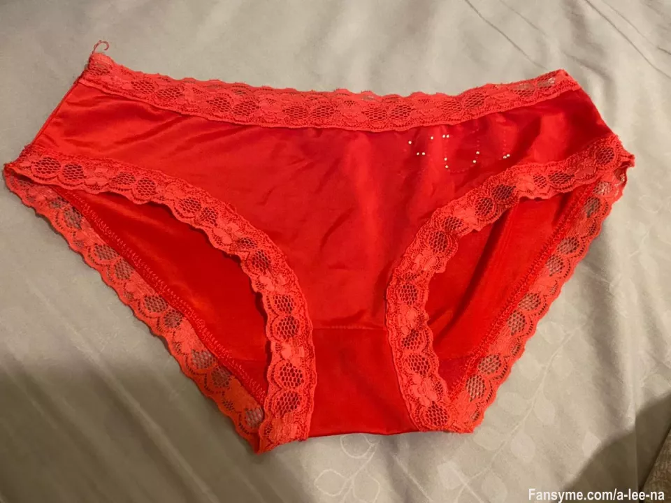 Red Silky Satin Lace Edge Brief Panty Underwear